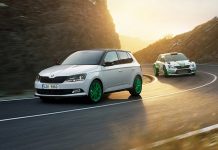 Özel seri Fabia